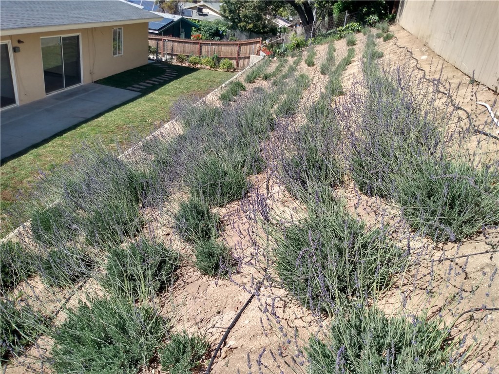 357 Parkman Street Altadena, CA 91001 - Photo 32 of 73