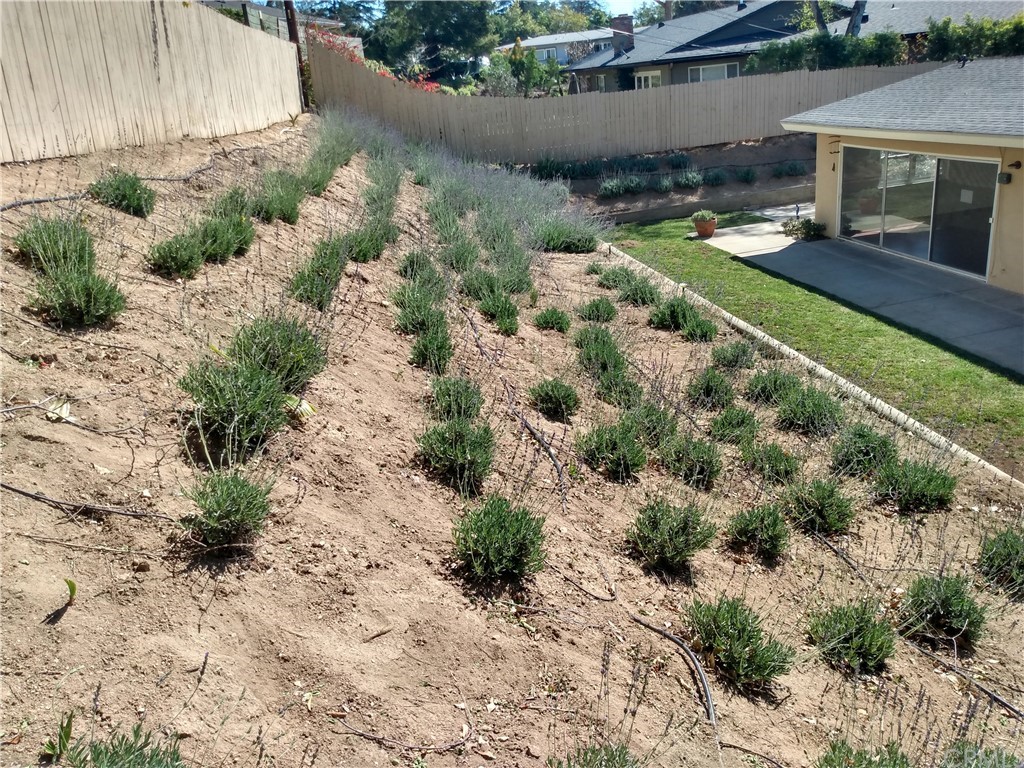 357 Parkman Street Altadena, CA 91001 - Photo 37 of 73