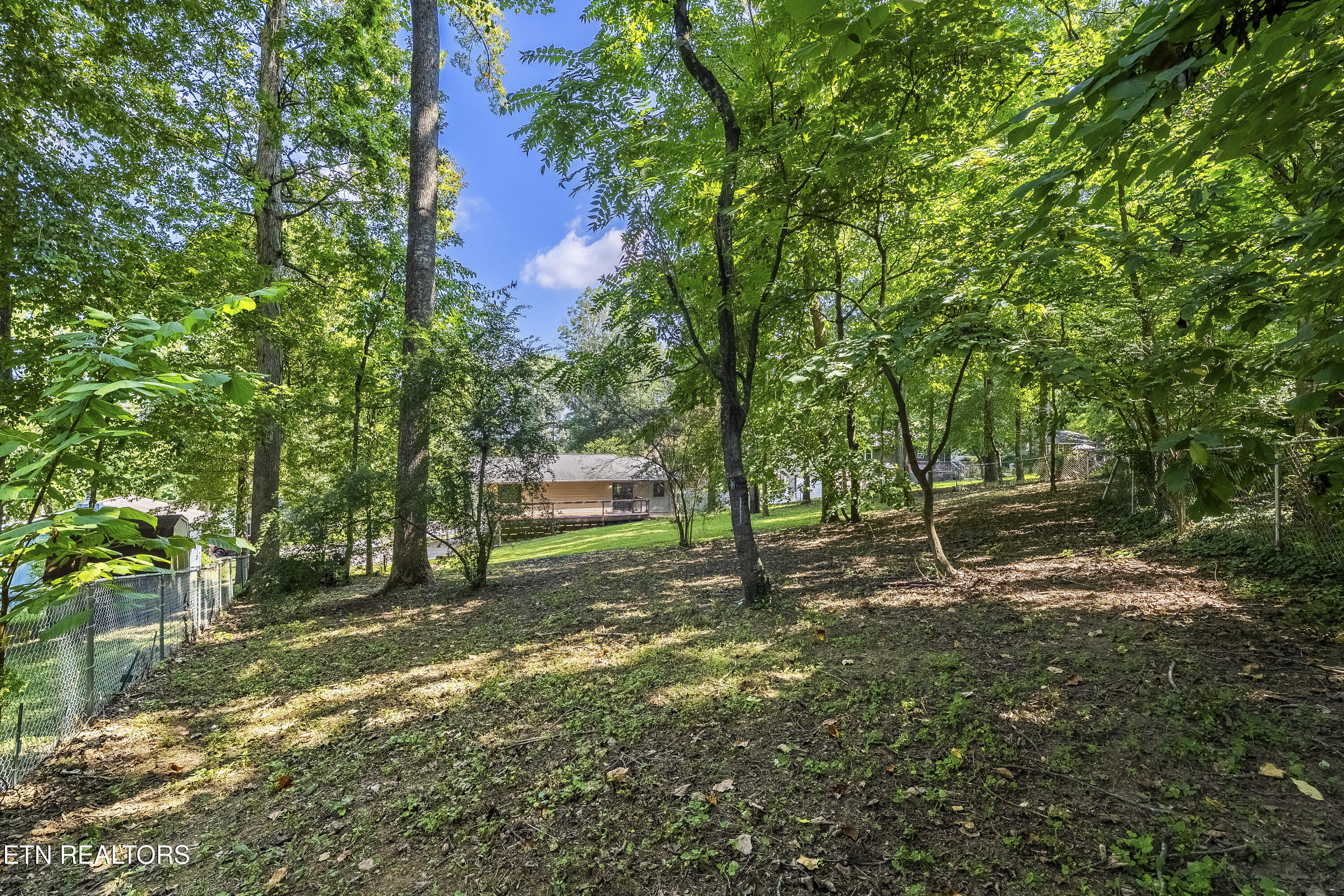 337 Oran Road Knoxville, TN 37934 - Photo 34 of 39 Back Yard