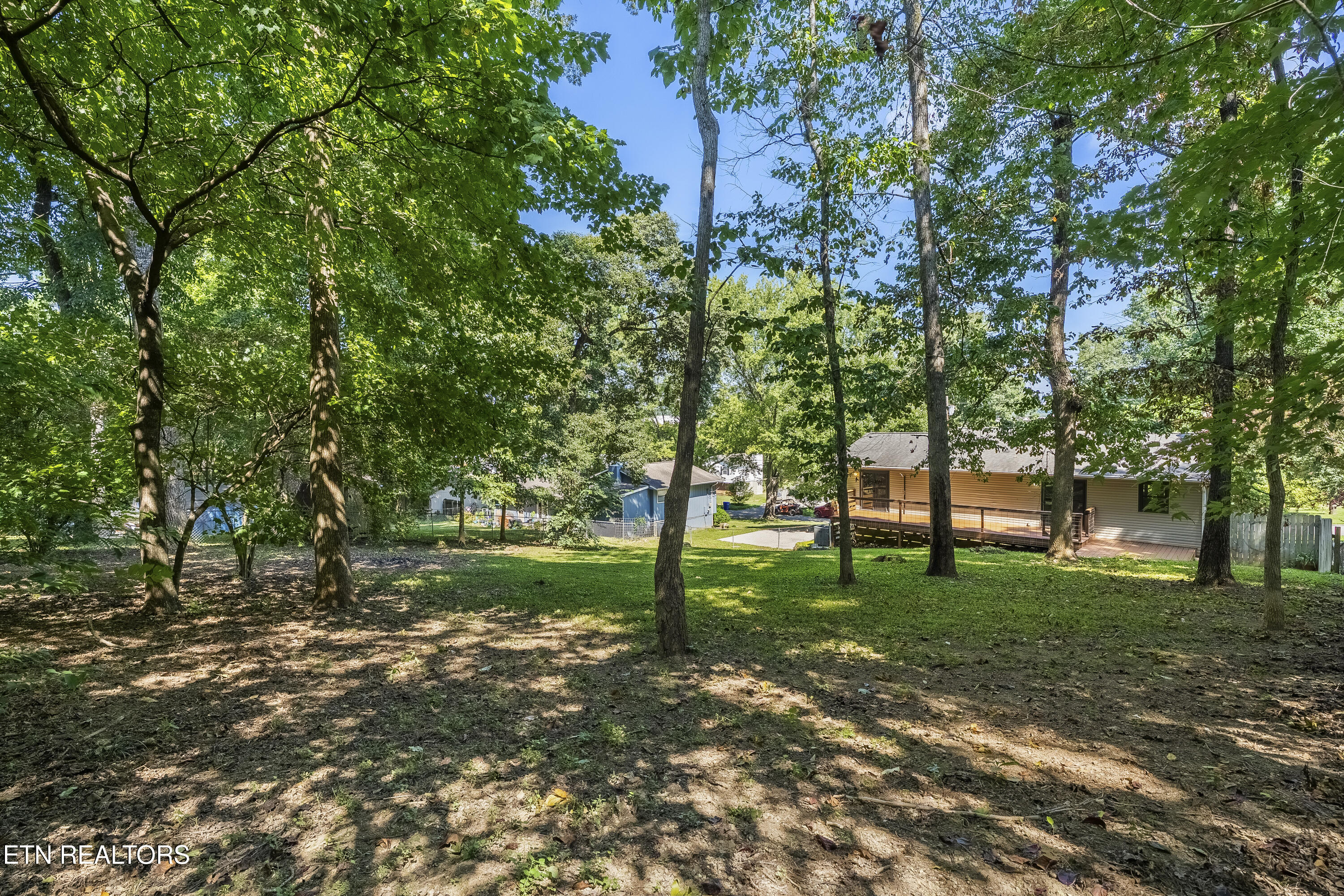 337 Oran Road Knoxville, TN 37934 - Photo 35 of 39 Back Yard