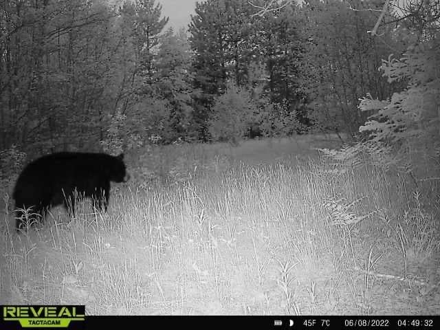 On Holy Cross Road Phillips, WI 54555 - Photo 18 of 20 Gallery Image 18