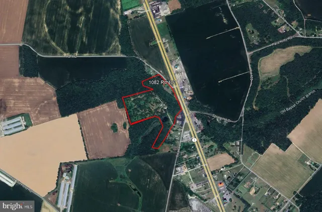 a green field with lots of trees in the background