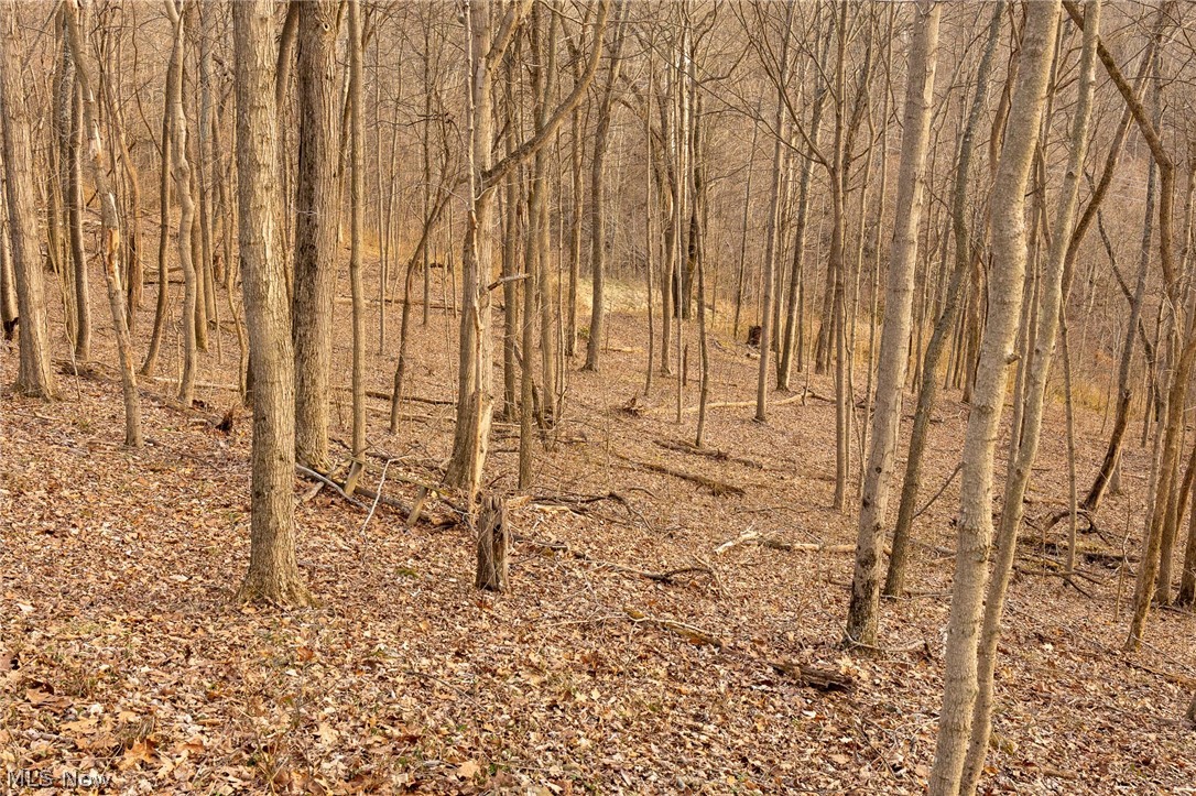 32290 Bailey Run Road Pomeroy, OH 45769 - Photo 16 of 41