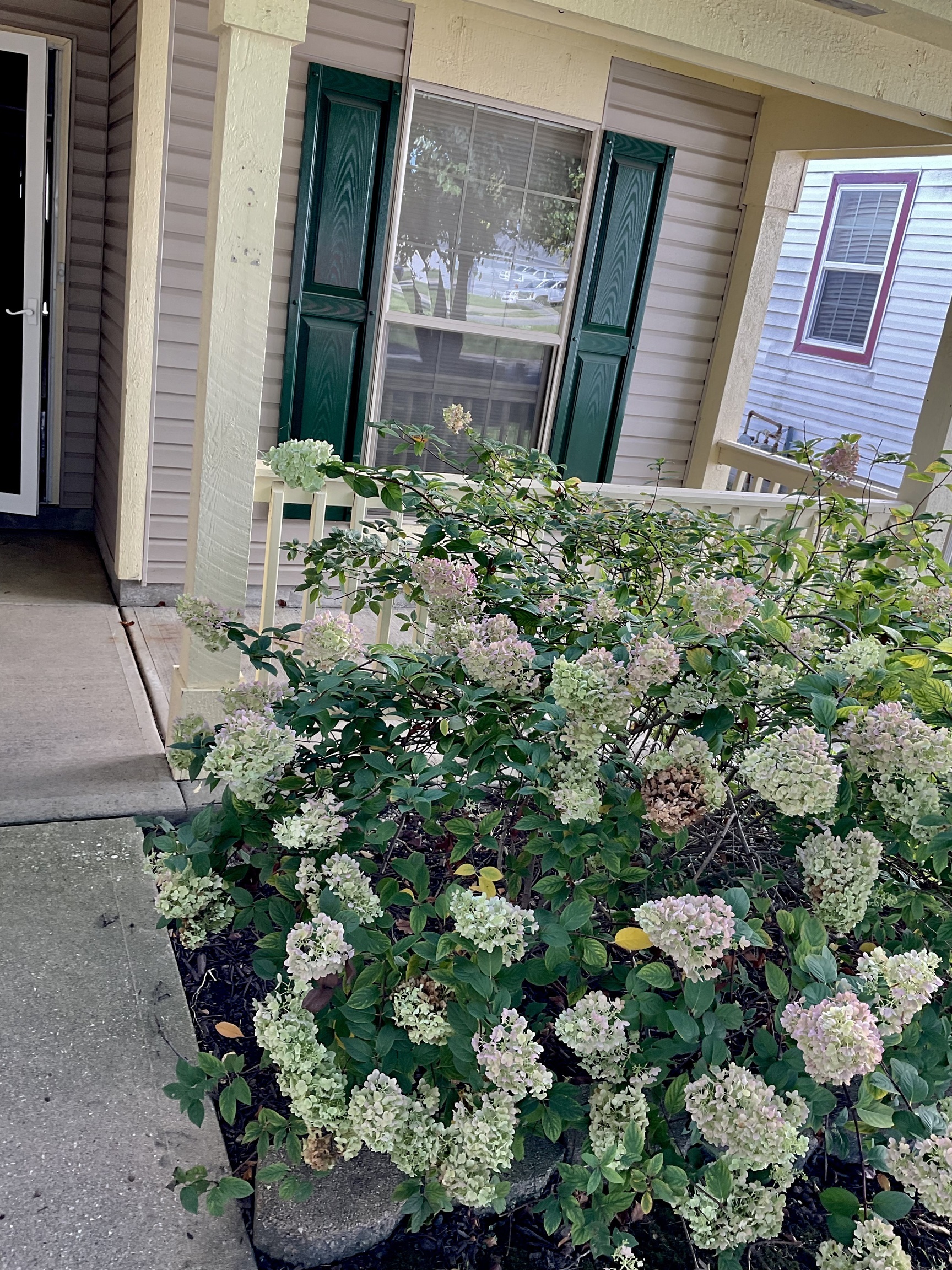 709 Chestnut Lane Brownsburg, IN 46112 - Photo 4 of 27