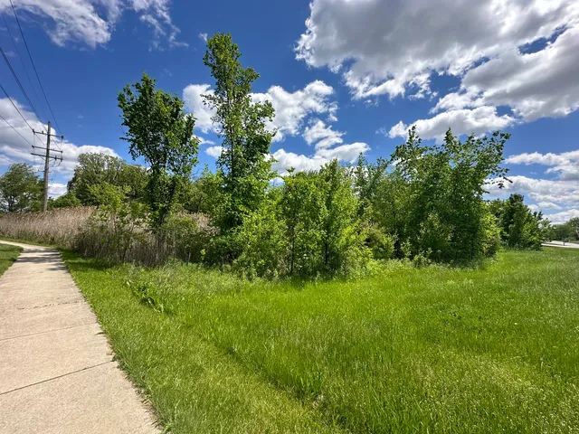 $225,000 | 1201 Leinster Drive, Lemont, IL 60439