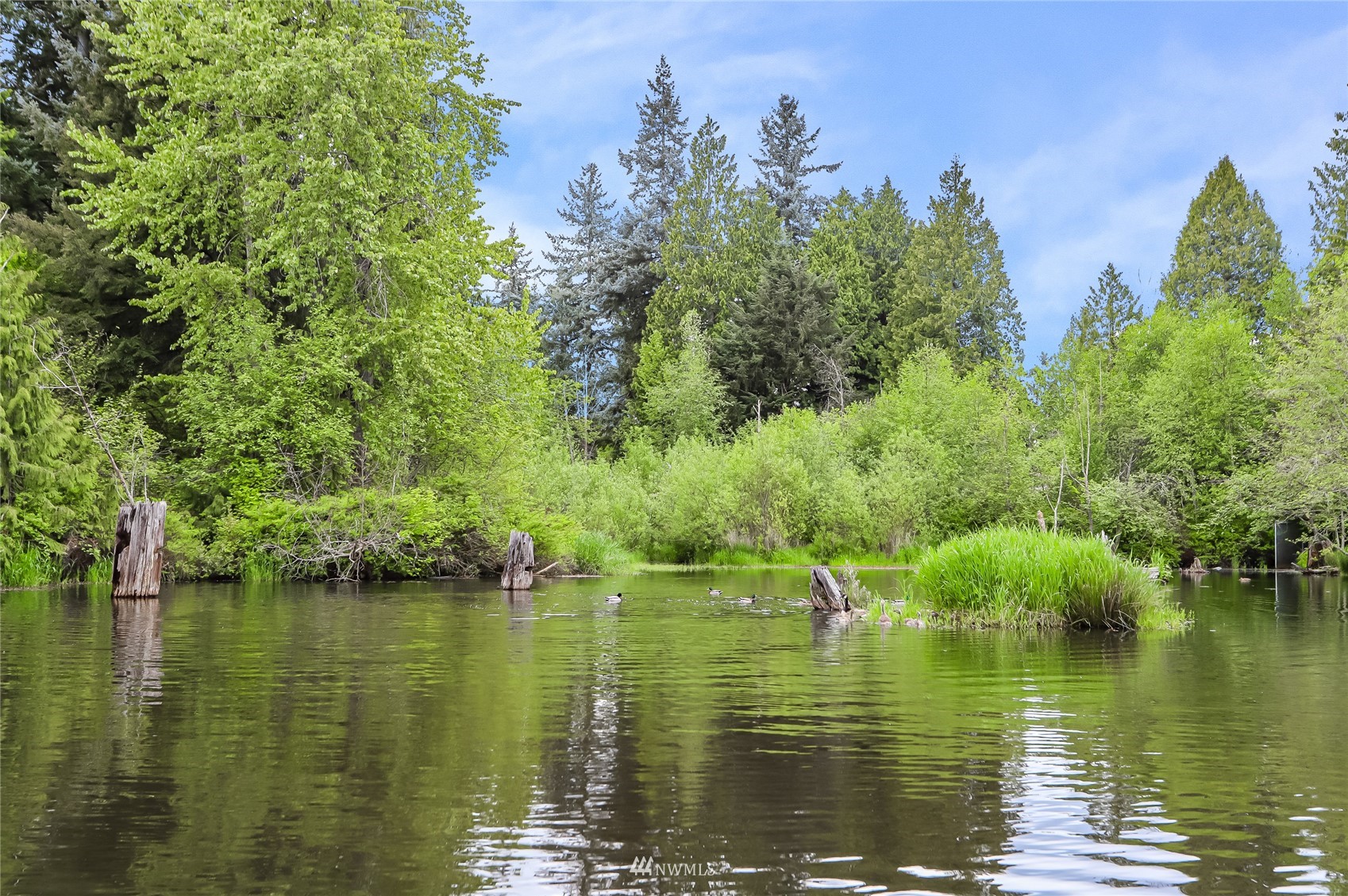 17818 Brook Boulevard Bothell, WA 98012 - Photo 26 of 27 a view of a lake with houses