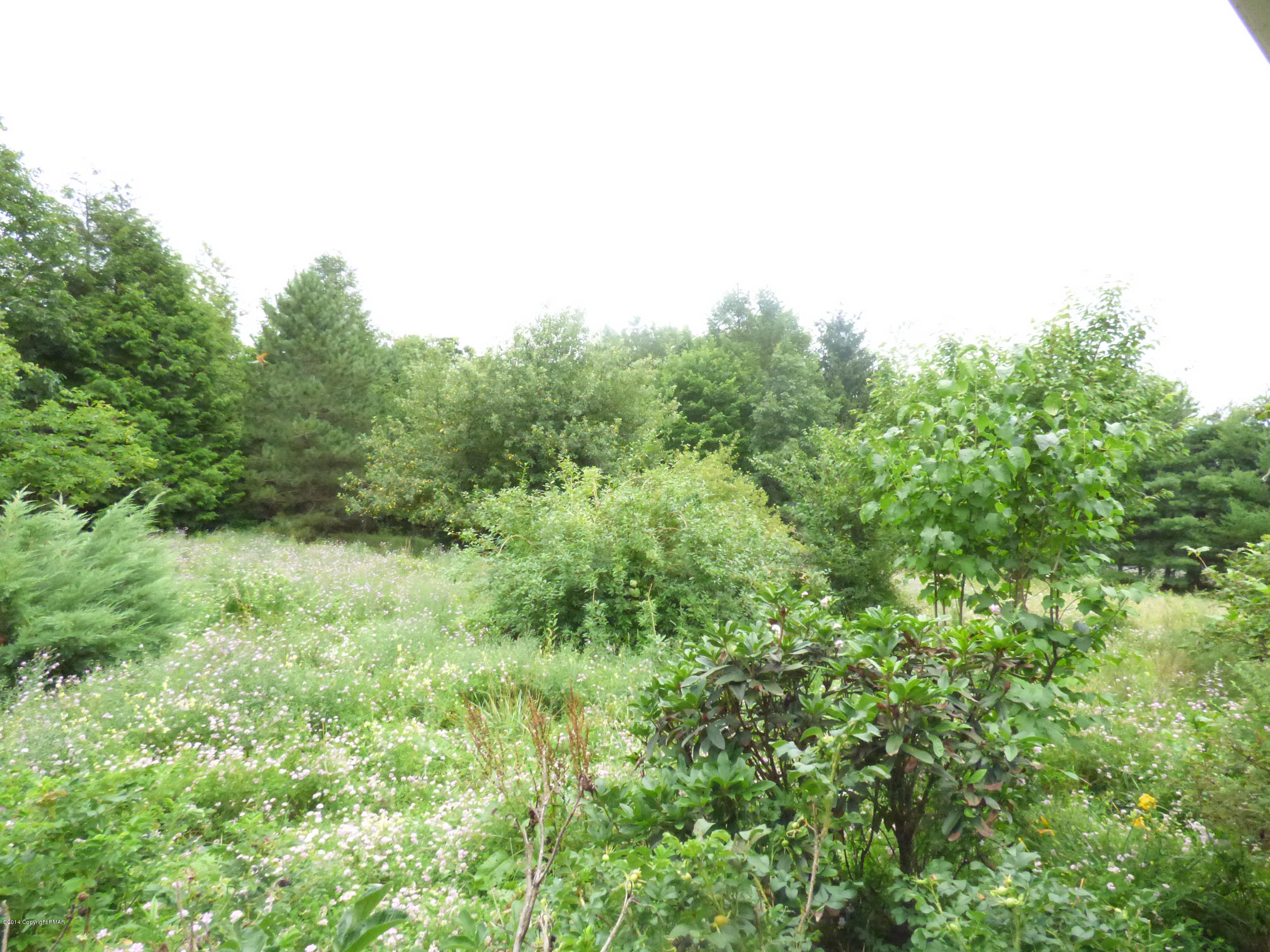 1390 Koch Road Kunkletown, PA 18058 - Photo 6 of 12 back yard