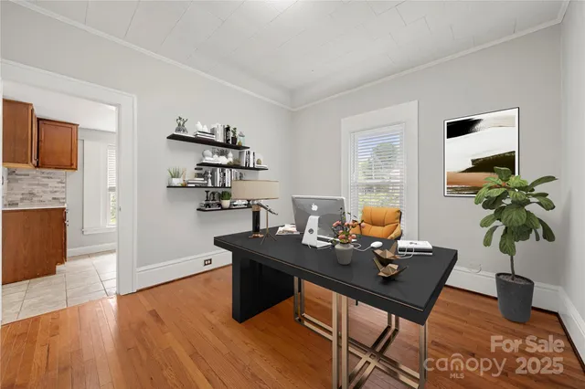 a living room with furniture wooden floor and a potted plant