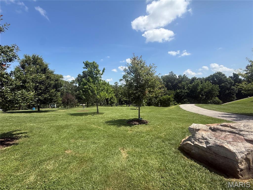802 Connie Lane Manchester, MO 63021 - Photo 13 of 17