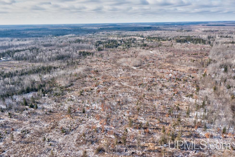 Jimtown Road Stephenson, MI 49887 - Photo 11 of 16