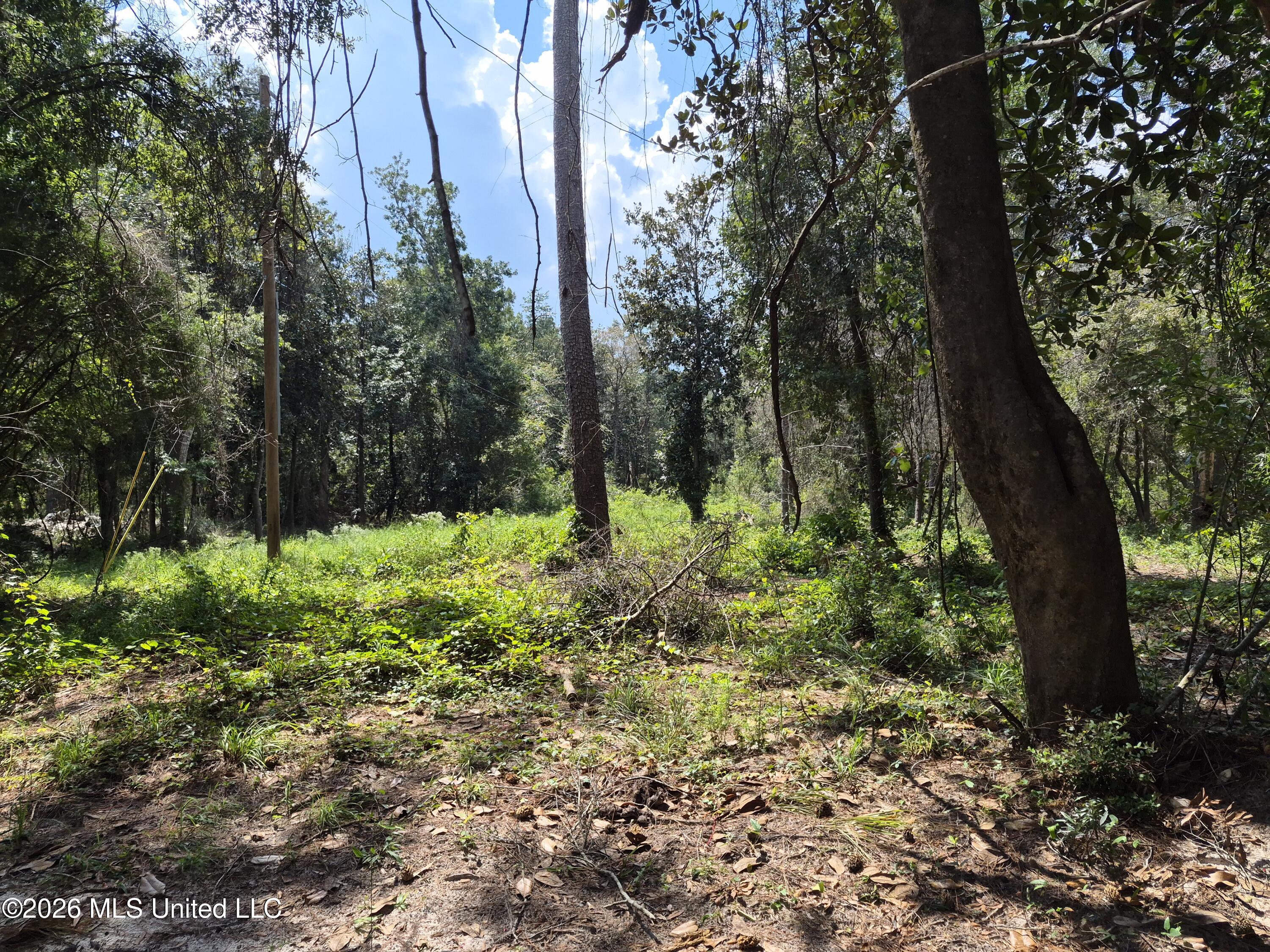 13756 River Road Gulfport, MS 39503 - Photo 68 of 93 Wooded West End
