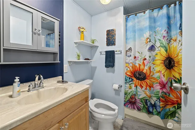 a bathroom with a sink mirror vanity and toilet