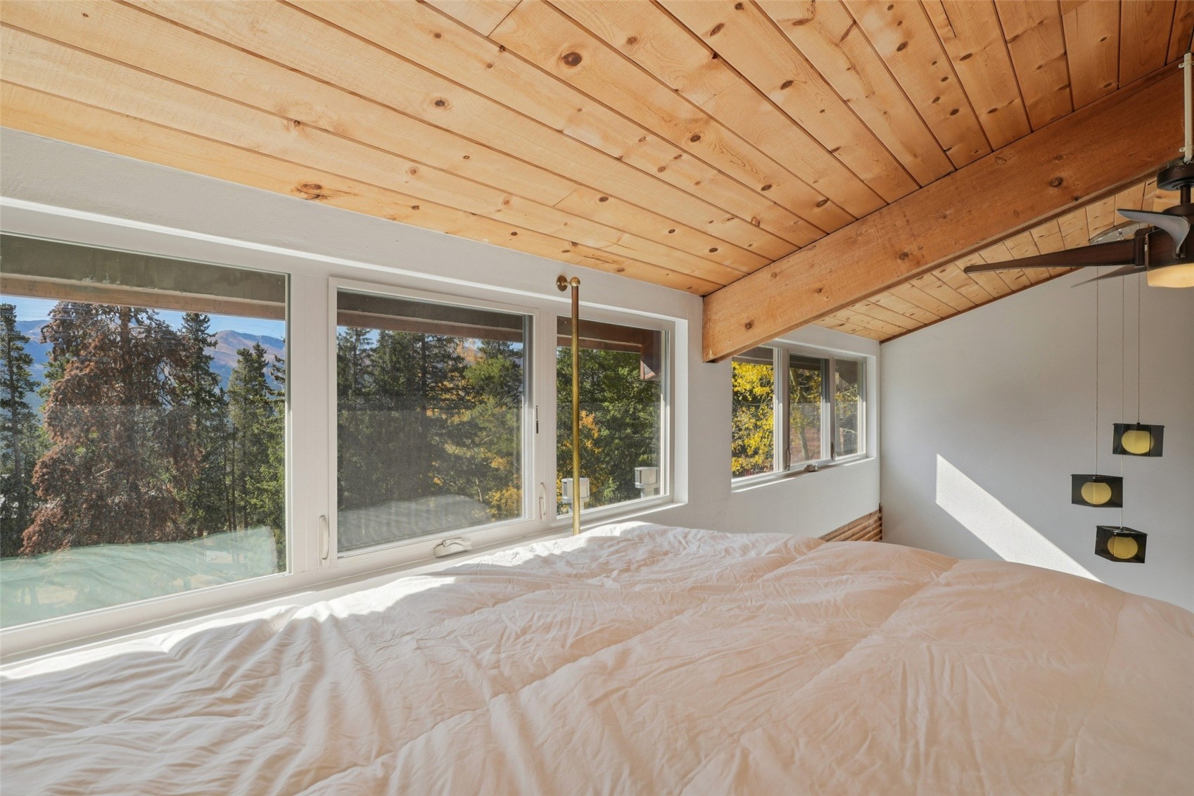 166 South Fuller Placer Road, Unit 6 Breckenridge, CO 80424 - Photo 17 of 31