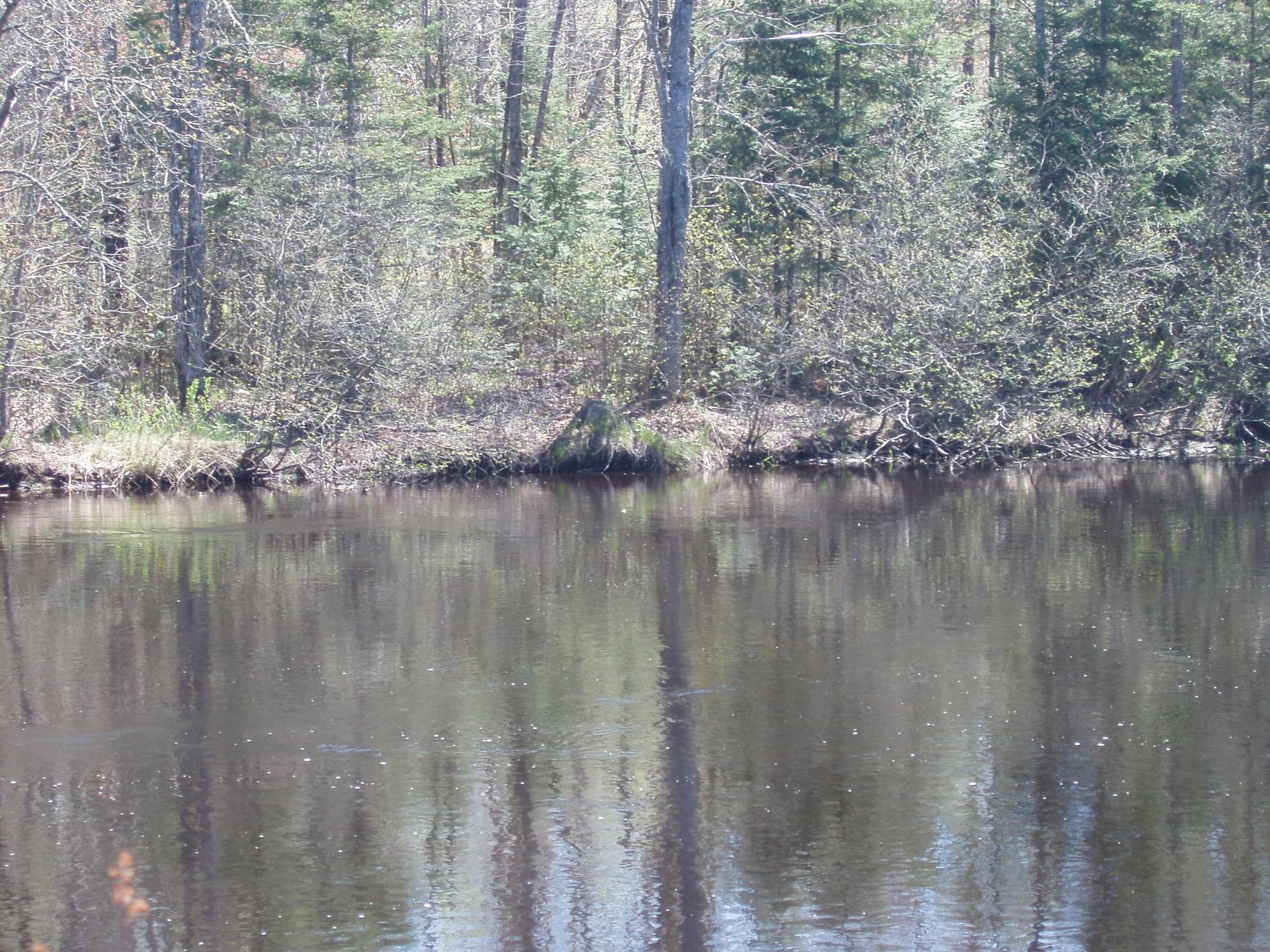 W6229 Hoefferle Road Park Falls, WI 54552 - Photo 20 of 26 Gallery Image 20