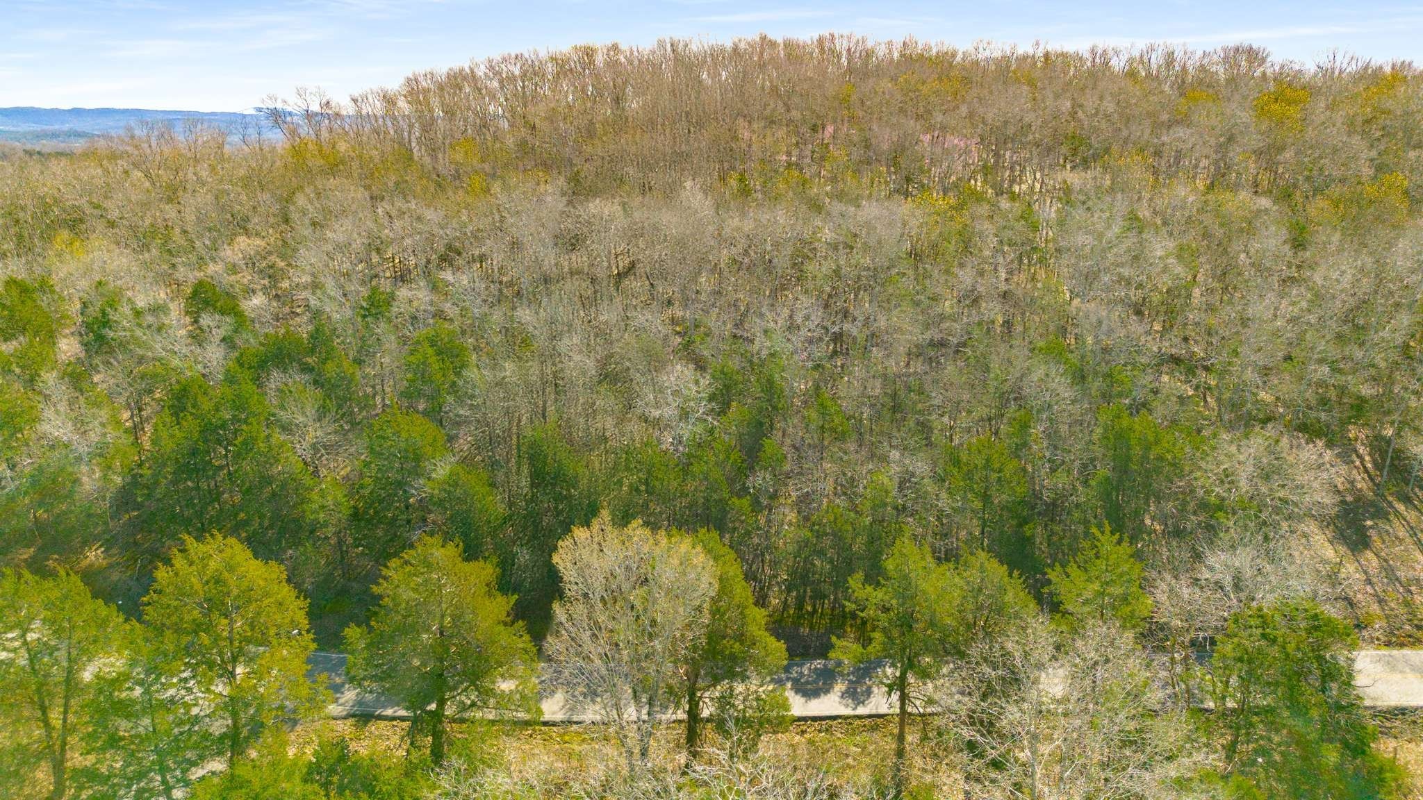 0 Cranor Road Murfreesboro, TN 37130 - Photo 5 of 19 a view of a city