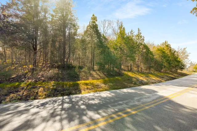 a view of yard along with trees