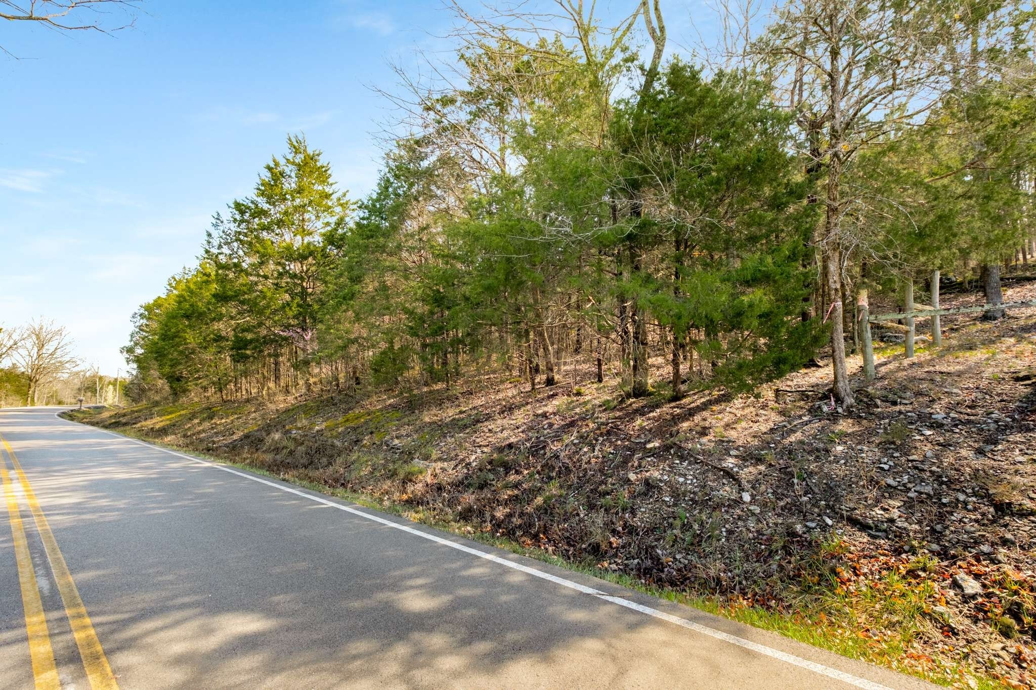 0 Cranor Road Murfreesboro, TN 37130 - Photo 7 of 19 a view of a yard with plants and trees
