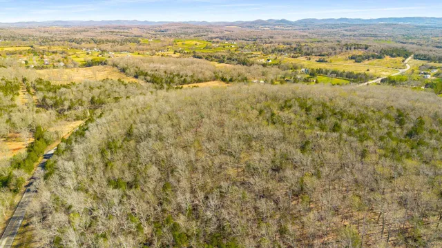 a view of city and ocean