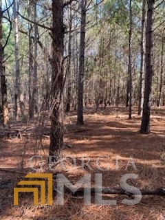0 Clyo Kildare Road Clyo, GA 31303 - Photo 1 of 1 Gallery Image 1