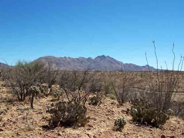 79 Camino Olympia Rio Rico, AZ 85648 - Photo 4 of 9
