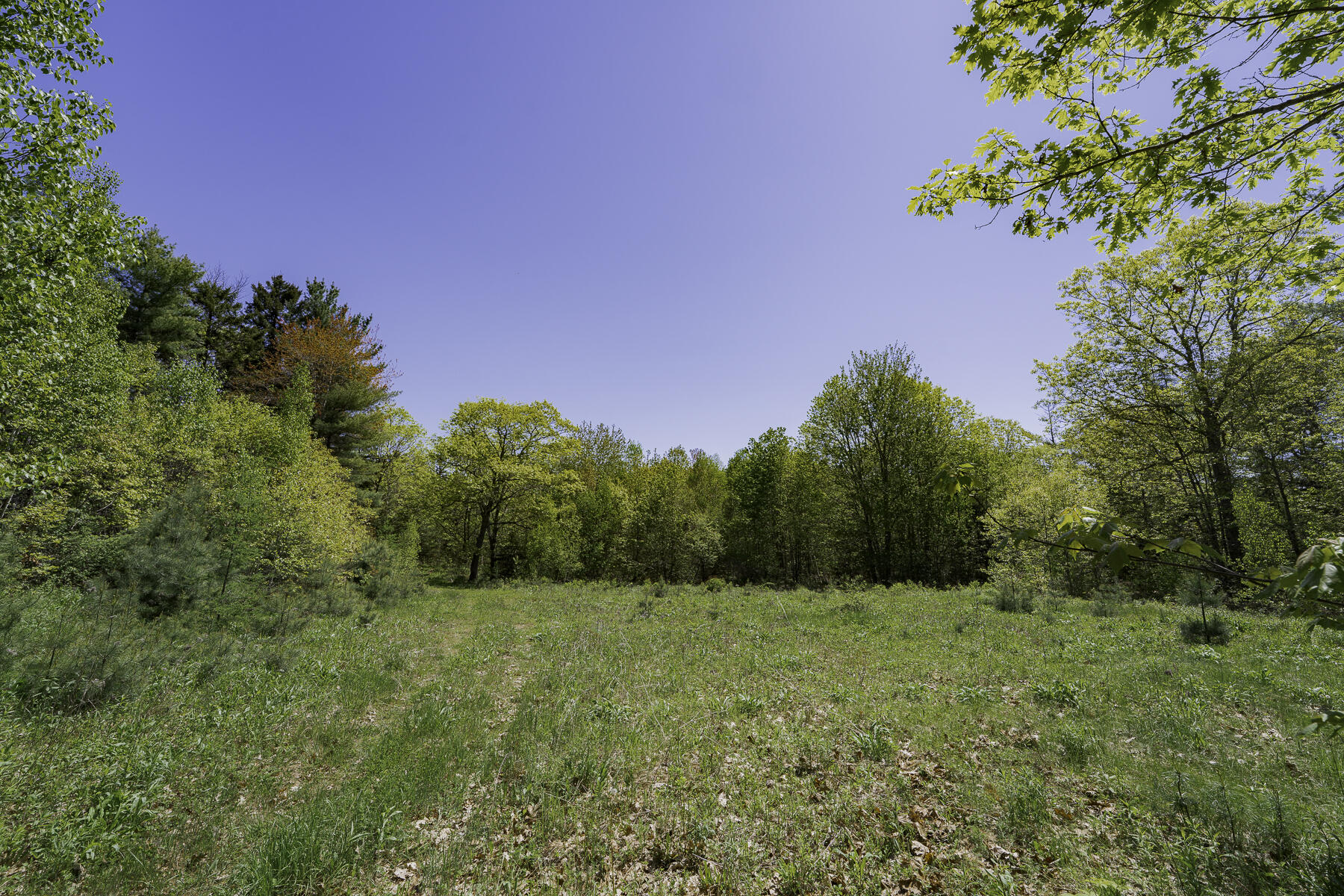 2208 Friendship Road Waldoboro, ME 04572 - Photo 67 of 76 Meadow