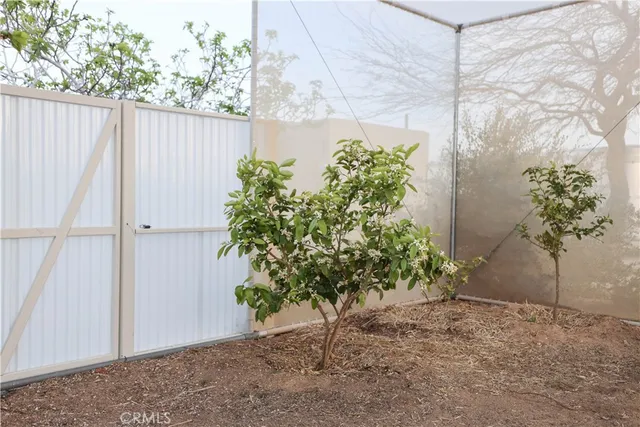 a view of a plants with wooden fence