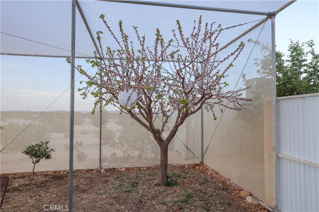 1356 Enchanted Road Joshua Tree, CA 92252 - Photo 39 of 47