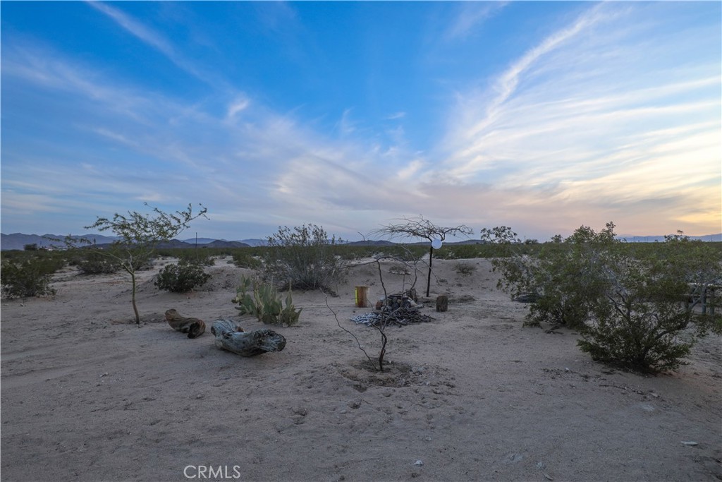 1356 Enchanted Road Joshua Tree, CA 92252 - Photo 40 of 47 a view of a dry yard with trees