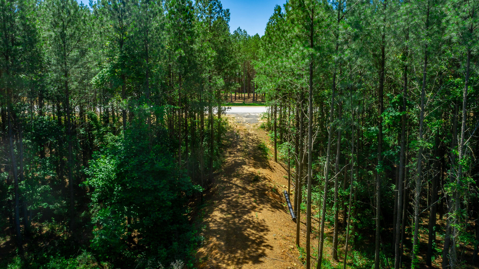 0 Split Rail Way, Unit LOT 1163 Guild, TN 37340 - Photo 58 of 118 River Gorge Lot 1163 HD-64