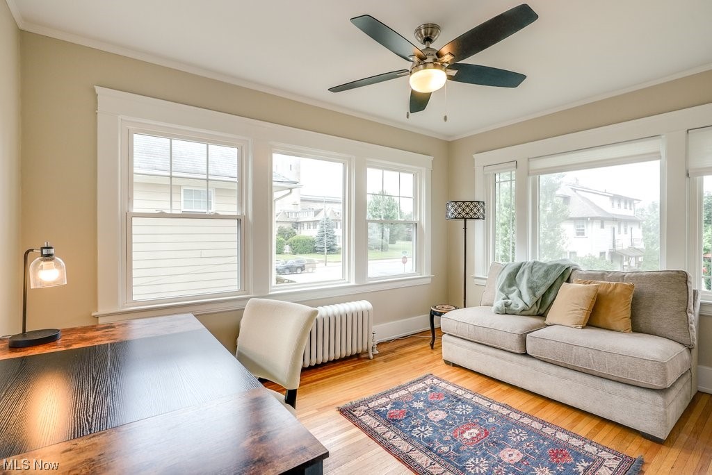 2135 Renrock Road Cleveland, OH 44118 - Photo 18 of 44 Living room with radiator heating unit, ornamental molding, ceiling fan, and light hardwood / wood-style floors