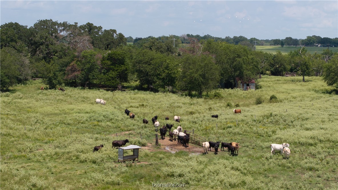 Tbd Tbd Fm-974 (tabor Rd) Bryan, TX 77808 - Photo 11 of 50