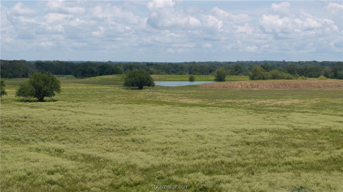 Tbd Tbd Fm-974 (tabor Rd) Bryan, TX 77808 - Photo 12 of 50