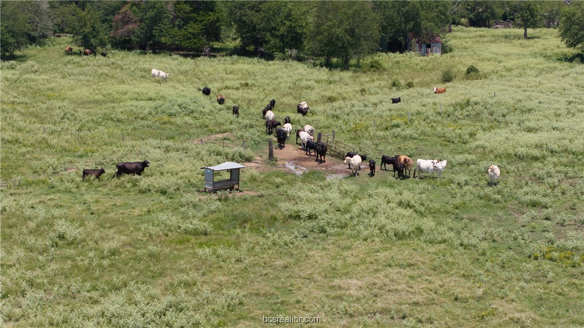 Tbd Tbd Fm-974 (tabor Rd) Bryan, TX 77808 - Photo 13 of 50