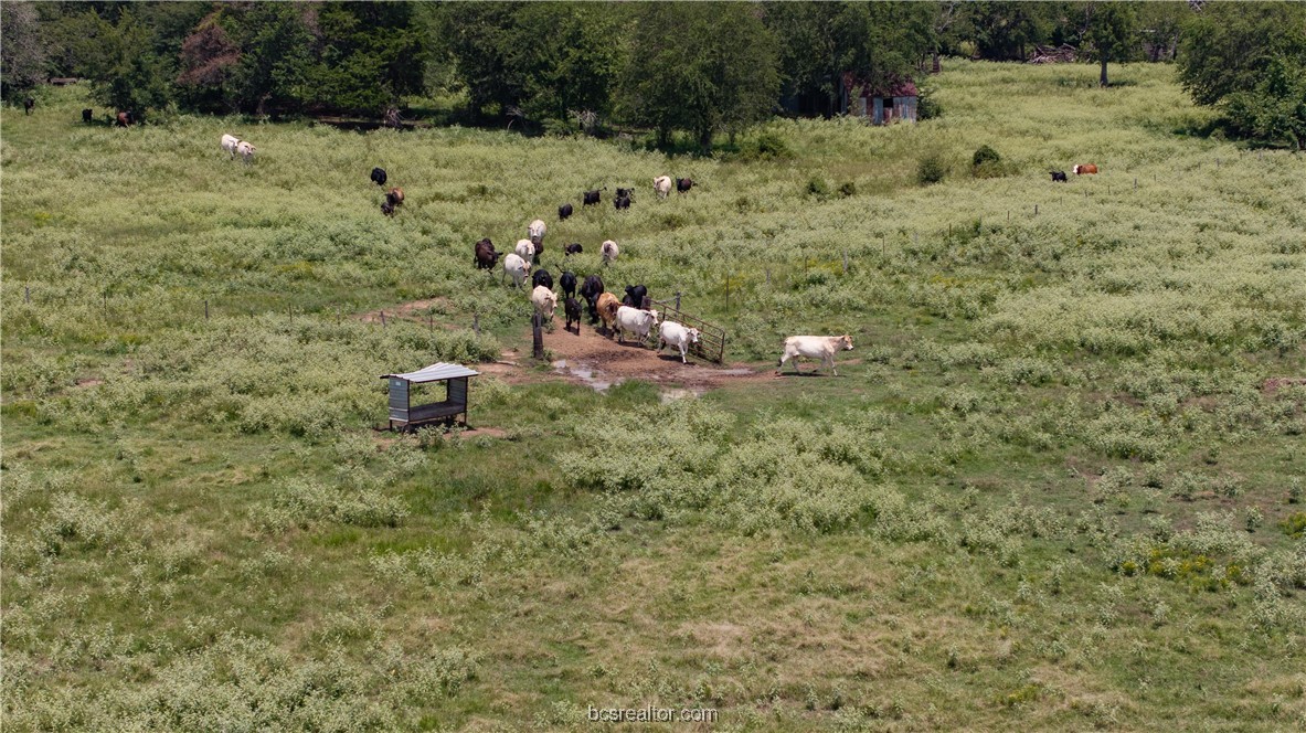 Tbd Tbd Fm-974 (tabor Rd) Bryan, TX 77808 - Photo 14 of 50