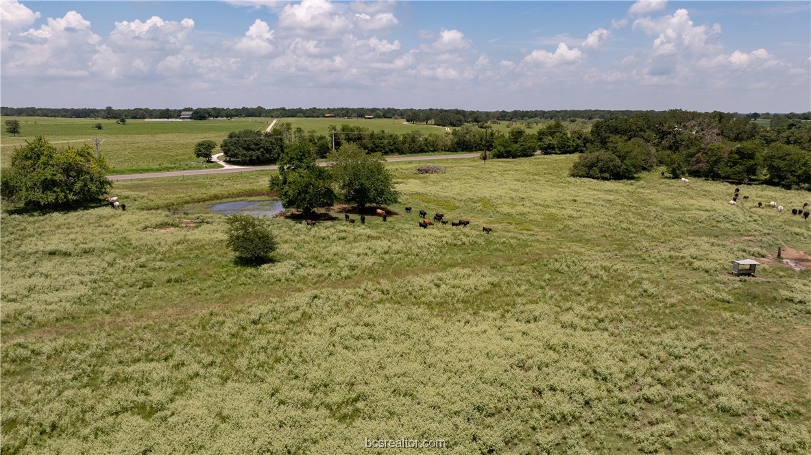 Tbd Tbd Fm-974 (tabor Rd) Bryan, TX 77808 - Photo 15 of 50
