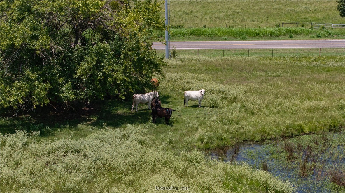 Tbd Tbd Fm-974 (tabor Rd) Bryan, TX 77808 - Photo 17 of 50