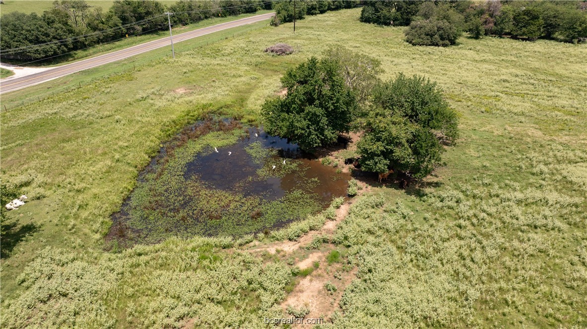 Tbd Tbd Fm-974 (tabor Rd) Bryan, TX 77808 - Photo 18 of 50