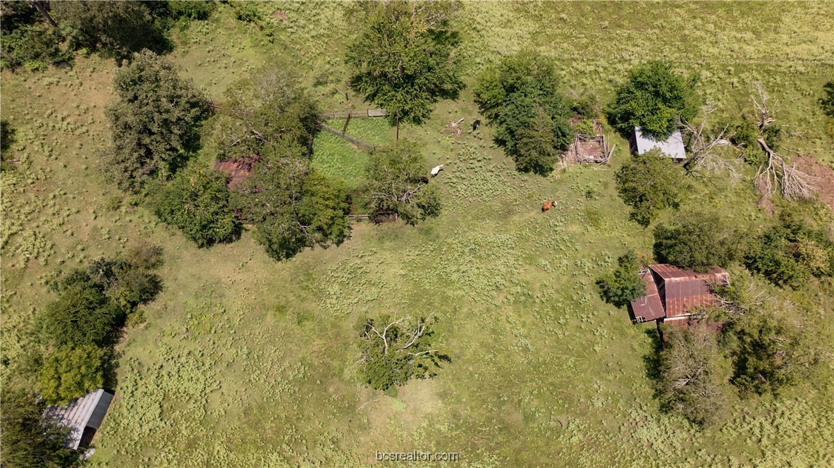 Tbd Tbd Fm-974 (tabor Rd) Bryan, TX 77808 - Photo 19 of 50