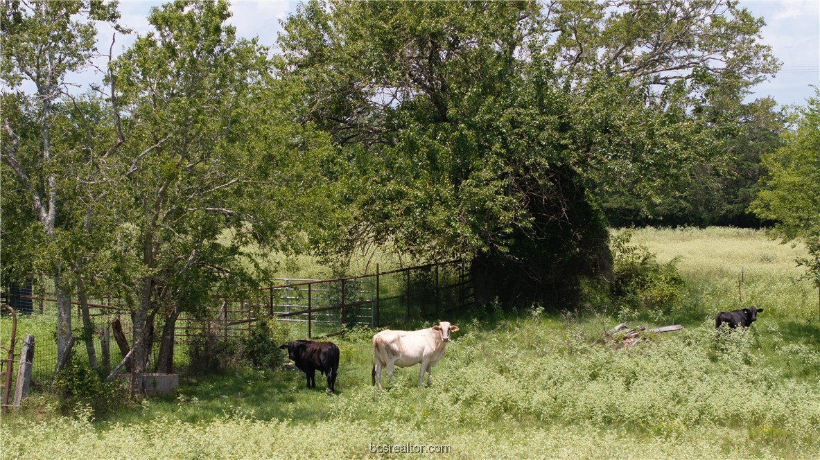 Tbd Tbd Fm-974 (tabor Rd) Bryan, TX 77808 - Photo 20 of 50