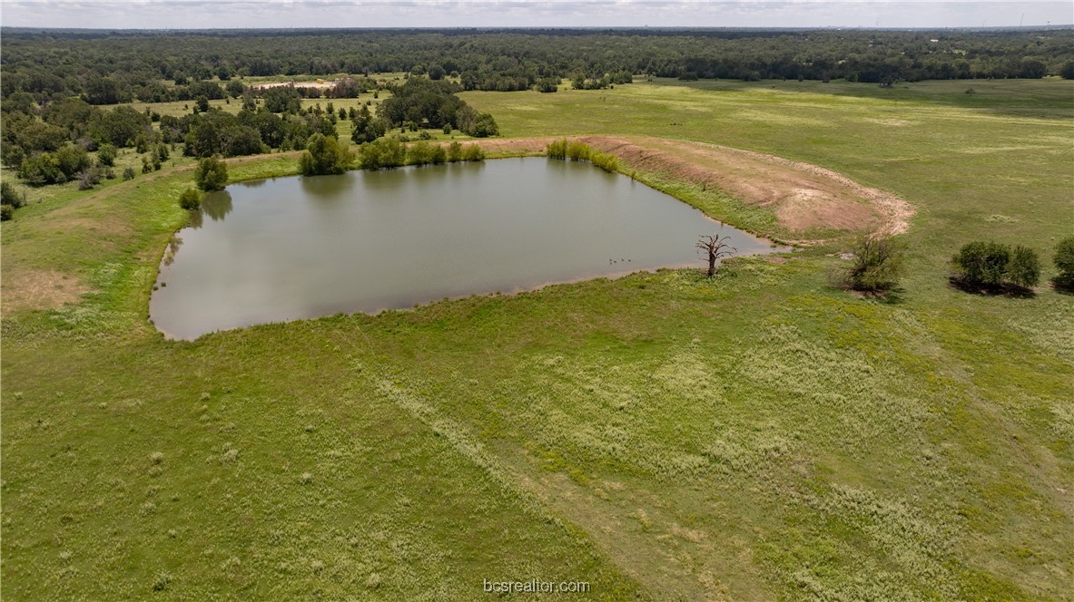 Tbd Tbd Fm-974 (tabor Rd) Bryan, TX 77808 - Photo 21 of 50