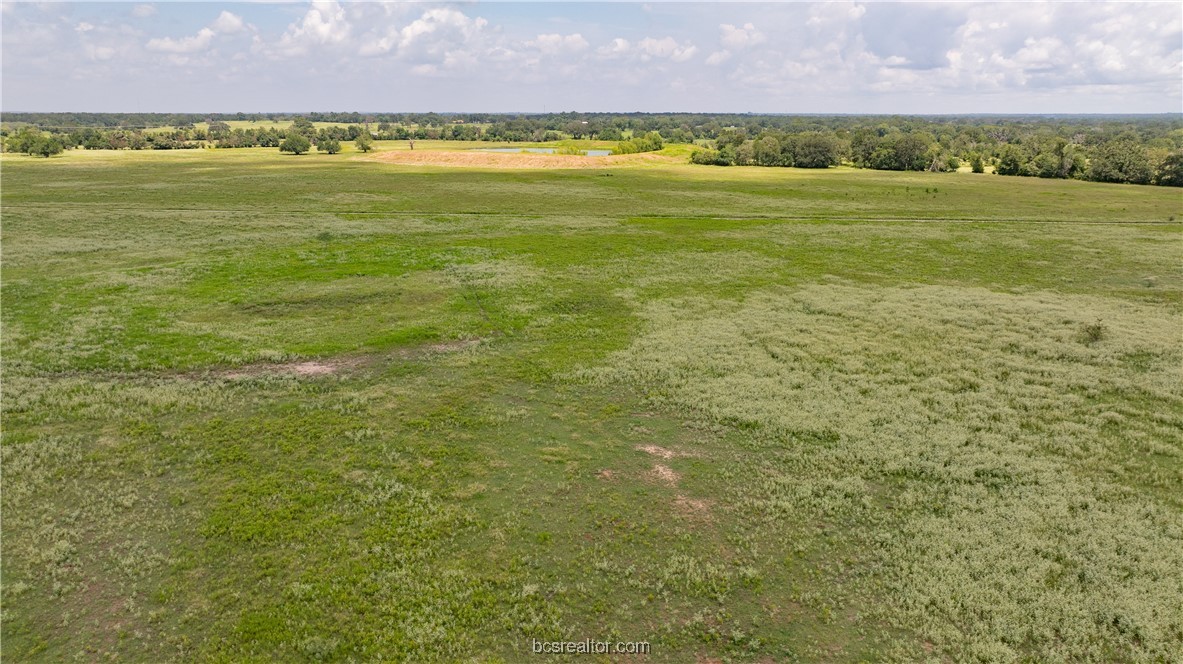 Tbd Tbd Fm-974 (tabor Rd) Bryan, TX 77808 - Photo 29 of 50