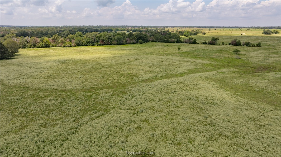 Tbd Tbd Fm-974 (tabor Rd) Bryan, TX 77808 - Photo 30 of 50