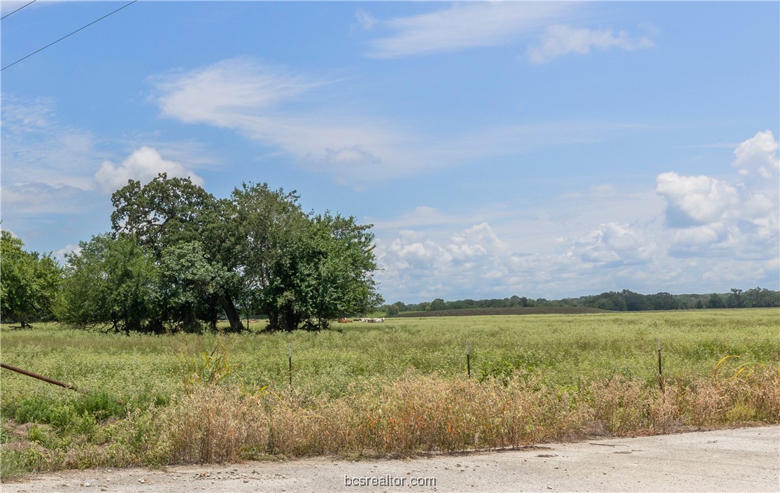 Tbd Tbd Fm-974 (tabor Rd) Bryan, TX 77808 - Photo 33 of 50