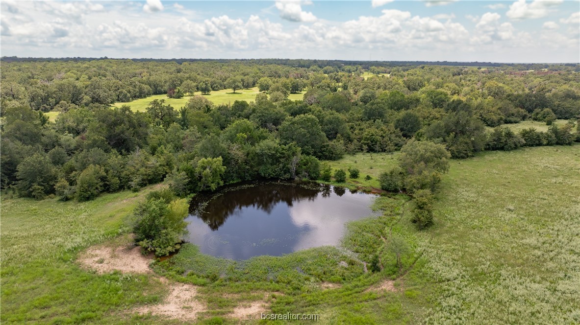 Tbd Tbd Fm-974 (tabor Rd) Bryan, TX 77808 - Photo 38 of 50