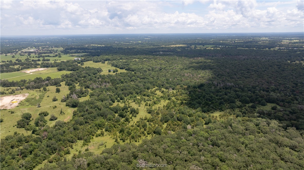 Tbd Tbd Fm-974 (tabor Rd) Bryan, TX 77808 - Photo 46 of 50
