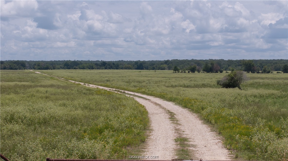 Tbd Tbd Fm-974 (tabor Rd) Bryan, TX 77808 - Photo 6 of 50