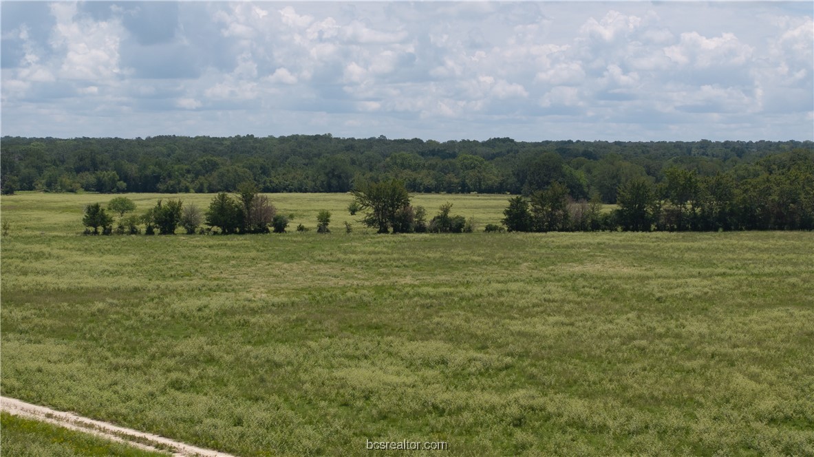 Tbd Tbd Fm-974 (tabor Rd) Bryan, TX 77808 - Photo 7 of 50
