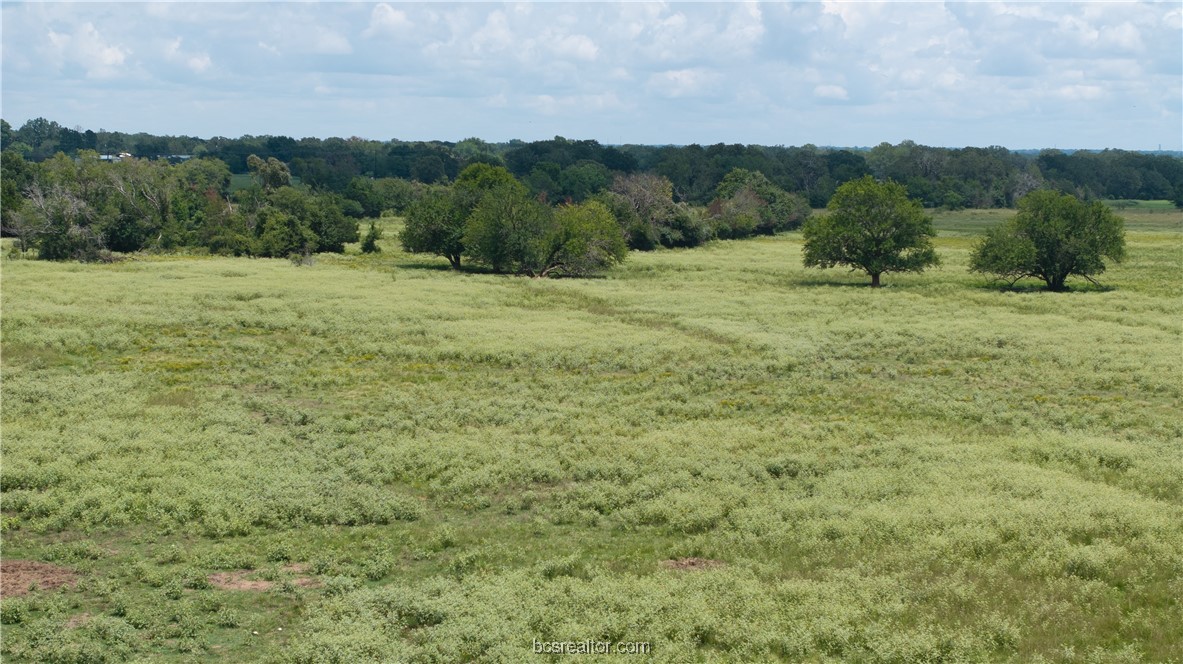 Tbd Tbd Fm-974 (tabor Rd) Bryan, TX 77808 - Photo 10 of 50