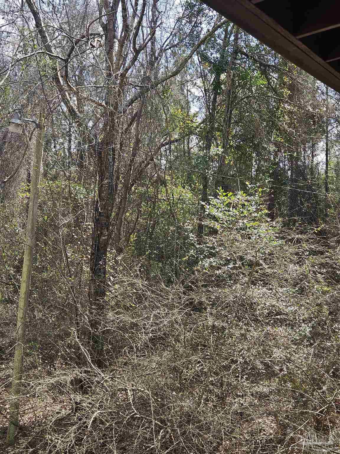 2779 Nelsontown Road Jay, FL 32565 - Photo 13 of 19