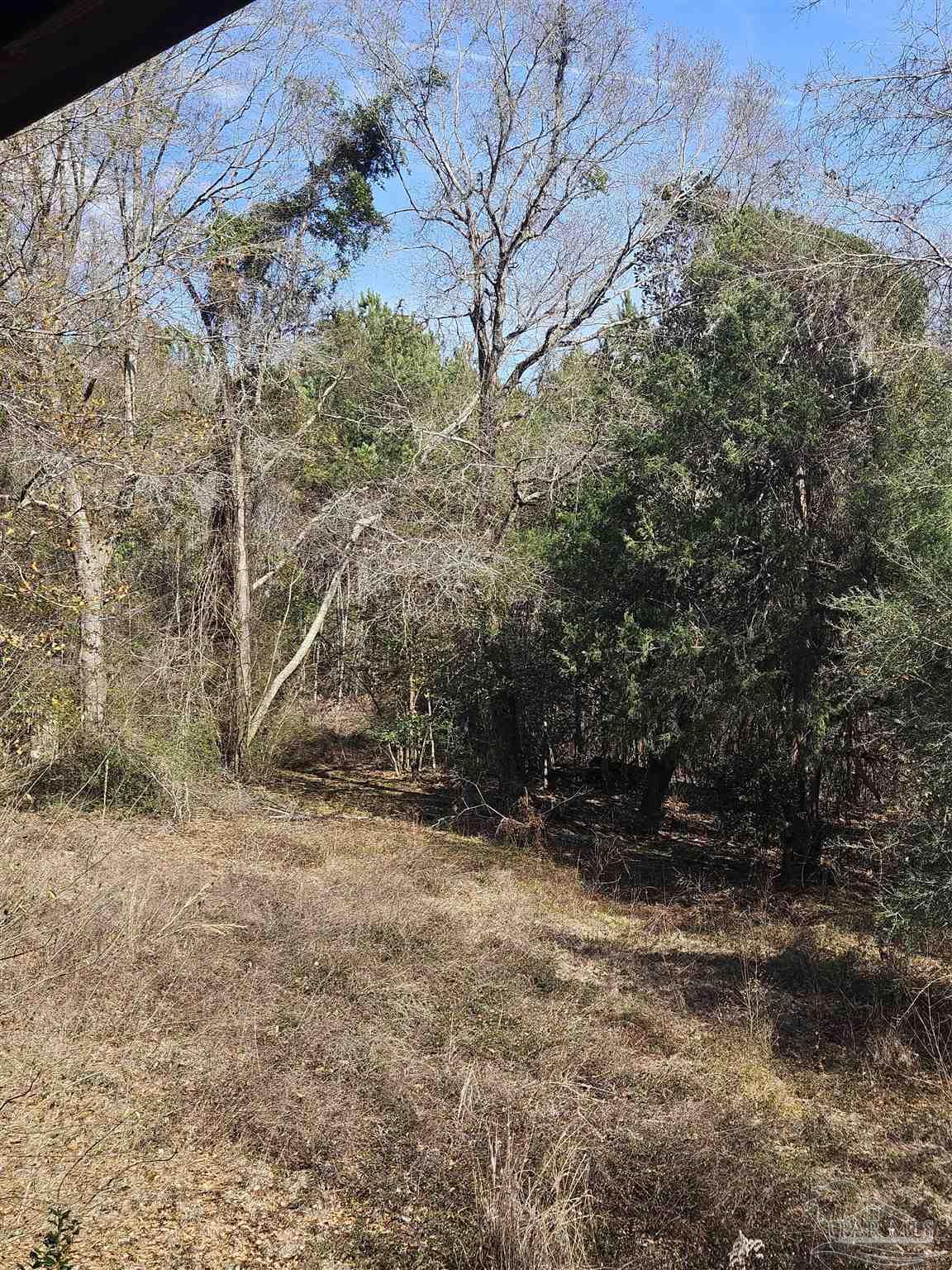 2779 Nelsontown Road Jay, FL 32565 - Photo 14 of 19